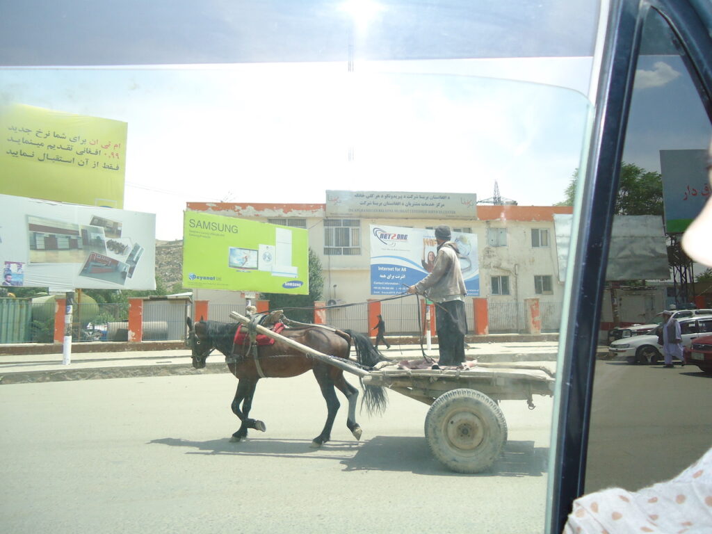 Man standing on a cart while riding a horse in Kabul