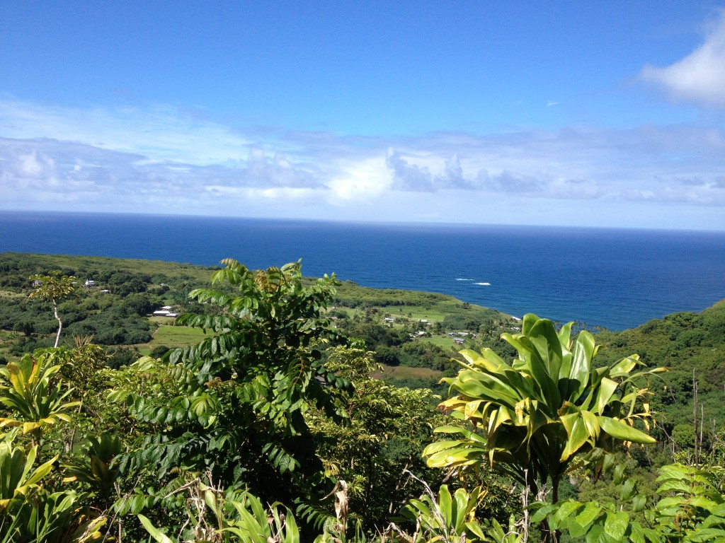 Hana Highway Maui