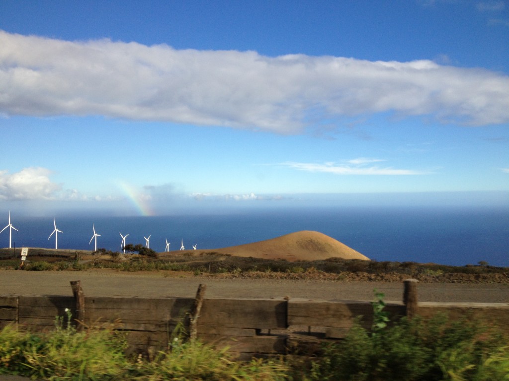 Hana Highway Maui dcenery