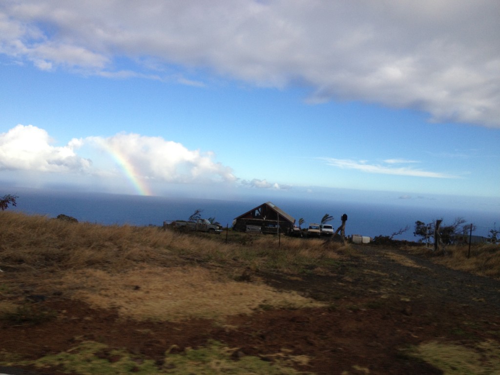 Hana Highway, a quintessential Maui roadtrip