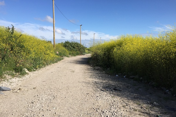 Empty fields of grass in the Calais Jungle Refugee Camp