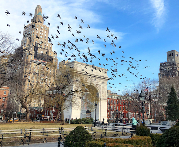 Washington Square Park NYC