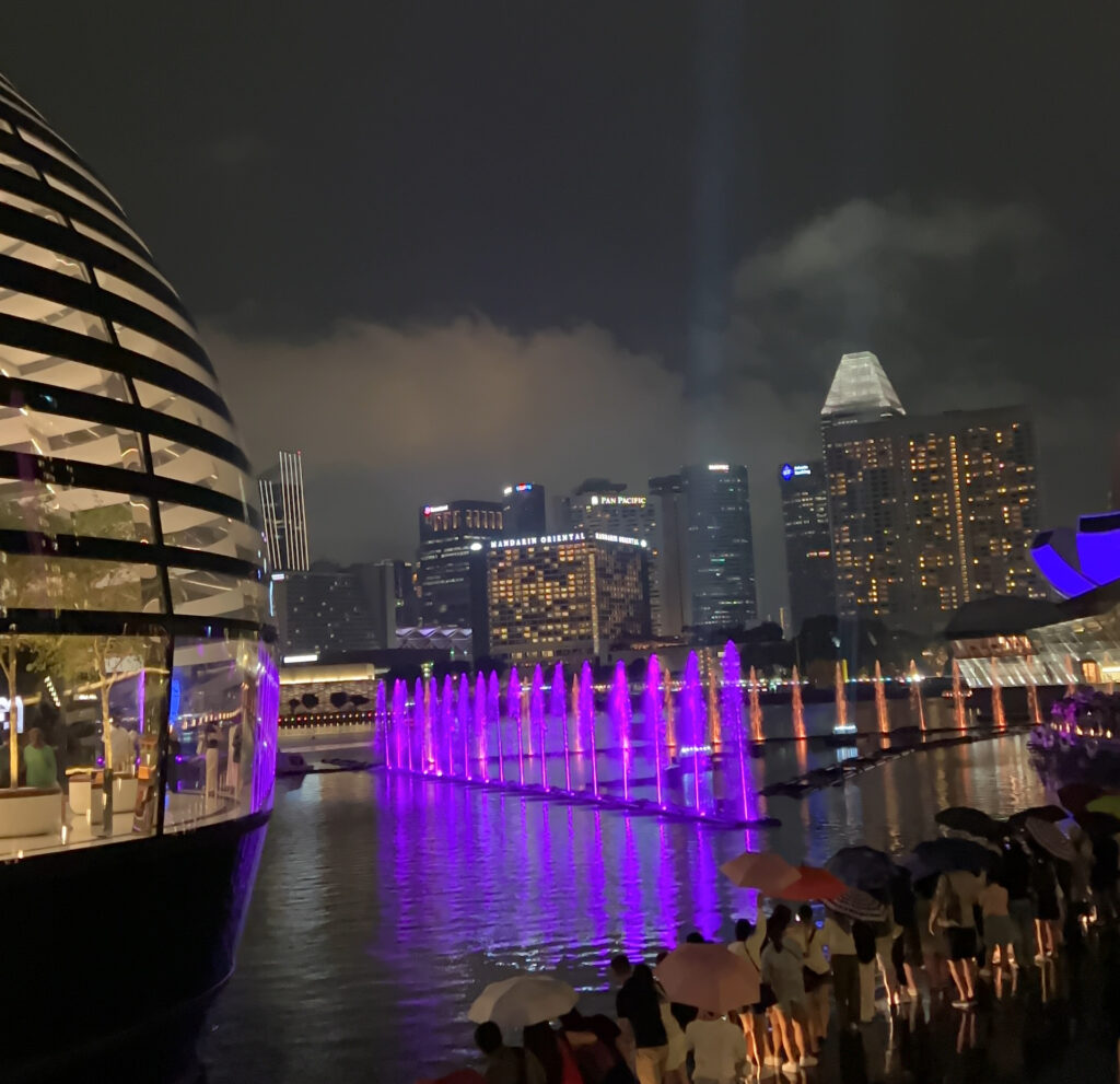 Marina at night, with purple and pink fountain light show