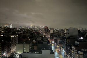 View of Lower Manhattan at night