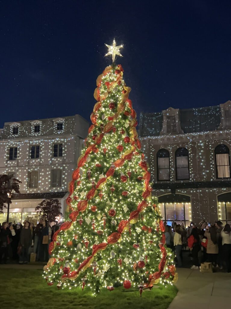 Stars Hollow Christmas tree lighting